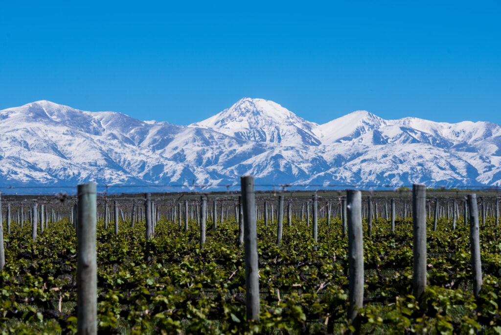 Paisaje de Mendoza. Ideal para pensar qué hacer en San Rafael: Turismo aventura y excursiones